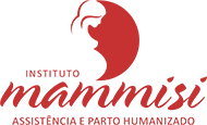 Camada-23